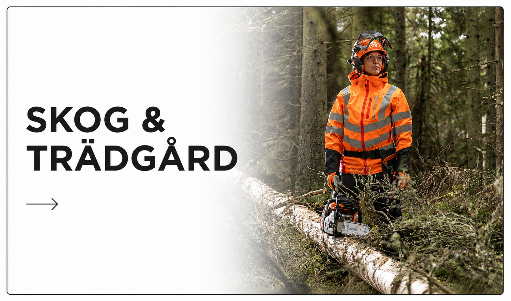 SKOG OCH TRÄDGÅRD