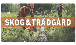 SKOG OCH TRÄDGÅRD