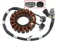 Sno-X Stator Polaris - Stator - D388370 - 1