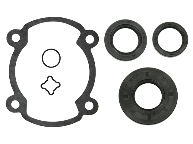 Sno-X Packningssats komplett Rotax 250 FC - Packningar - D63880 - 1