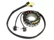 Sno-X Stator Polaris 600/800 2011-12 - Stator - D81461 - 1