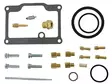 Sno-X Förgasar reparations kit Arctic Cat - Bränslesystem - D175292 - 1