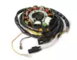 Kimpex Stator POLARIS - Övriga eldelar - D544102 - 1