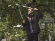 HUSQVARNA GRENSAX LARGE ALUMINIUM - Övriga trädgårdsredskap - 47983 - 2