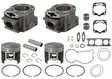 Sno-X Cylinder kit Polaris 600 - Cylinder och vevaxel - D344573 - 1