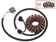 Sno-X Stator, Arctic Cat 9000 - Stator - D465024 - 1