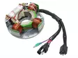 Sno-X Stator Arctic Cat - Stator - D60014 - 1