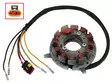 Sno-X Stator, Ski-Doo/Lynx - Stator - D465014 - 1