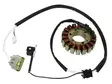 Sno-X Stator Yamaha - Stator - D81464 - 1