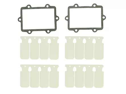 Sno-X Reedventil membran (4st), Arctic Cat 800/8000 - Bränslesystem - D118256 - 1