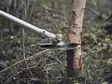 HUSQVARNA RÖJSÅG 545FXT AutoTune - Röjsågar - 40287 - 2