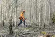 HUSQVARNA RÖJSÅG 545FXT AutoTune - Röjsågar - 40287 - 3