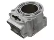 Sno-X Cylinder Polaris 600 - Cylinder och vevaxel - D340357 - 1