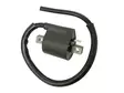 Sno-X Tändspole Yamaha BR250 89-03 - Tändstift och tändhatt - D60077 - 1