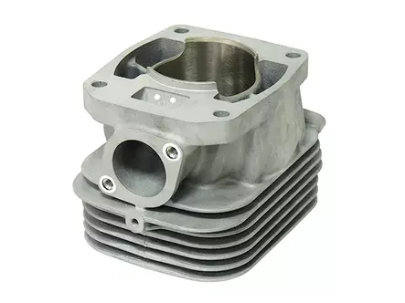 Sno-X Cylinder Polaris 550 - Cylinder och vevaxel - D175268 - 1