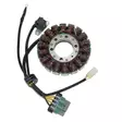 Kimpex Stator POLARIS - Övriga eldelar - D100208 - 1