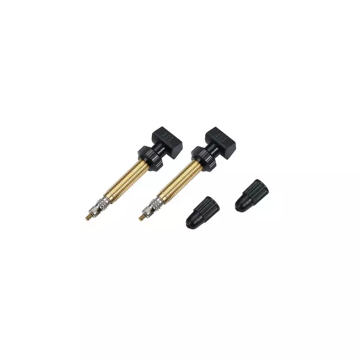 BBB Tubelessventiler std parvis 48mm - Tillbehör - 34808 - 1