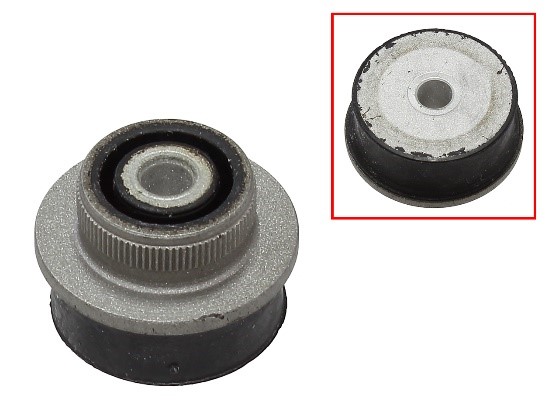 Sno-X Motorfäste Ski-Doo - Motorfästen - D340229 - 1